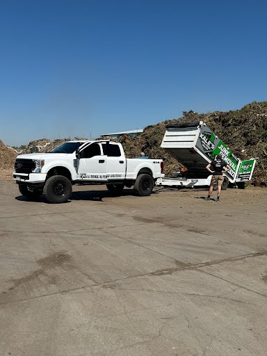 Forest area with discarded debris