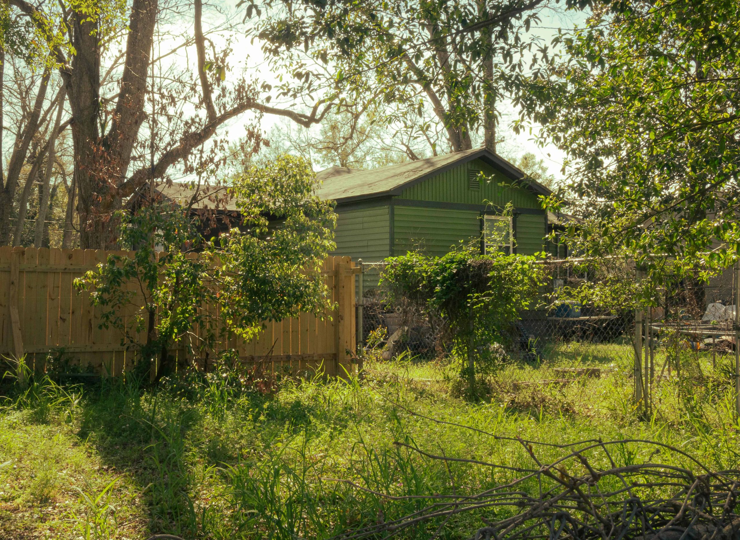 An image of a yard in Roseville, CA that has a lot of green waste that needs to be removed.